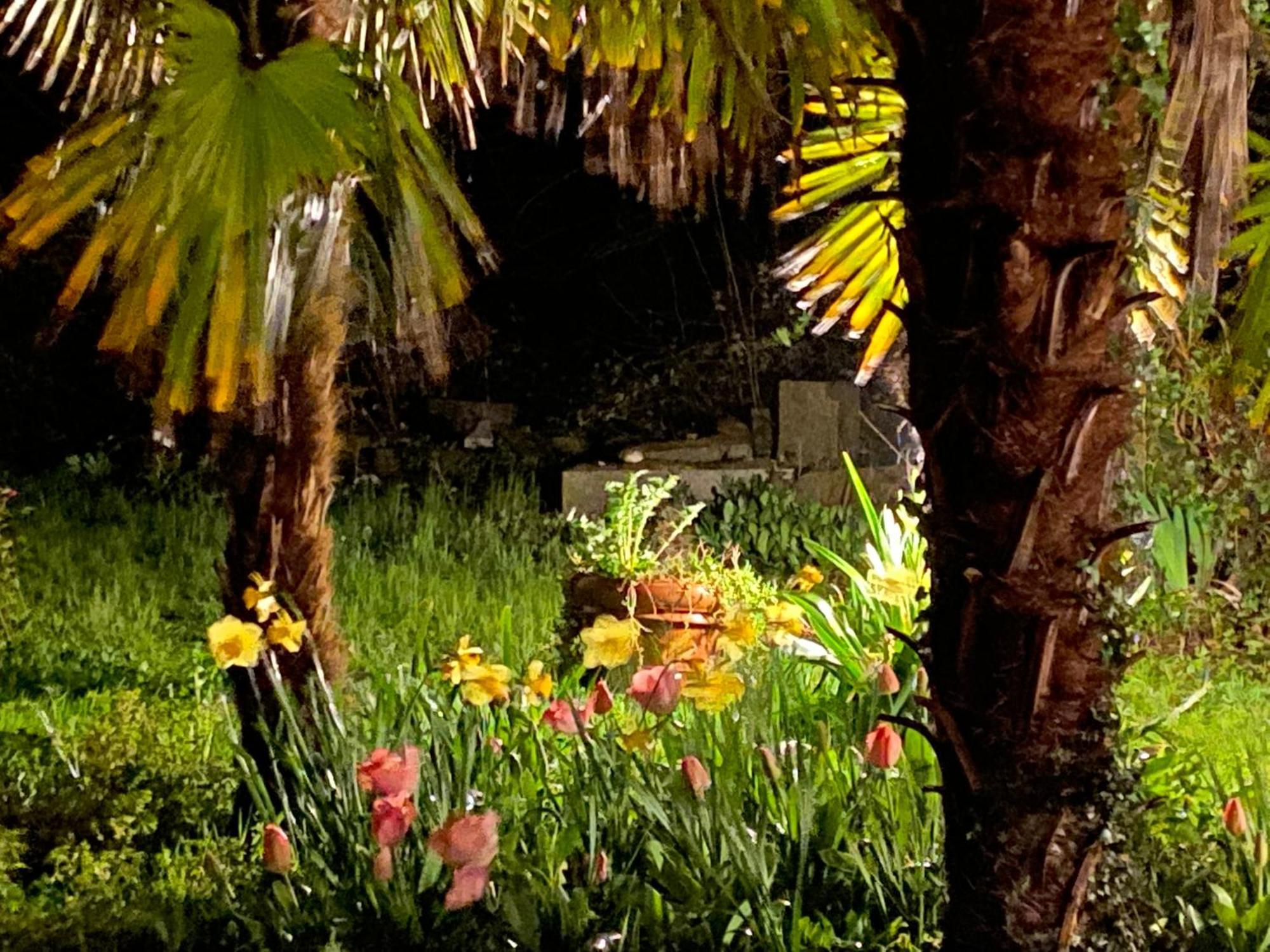 Paradis Clohars-Carnoët Dış mekan fotoğraf